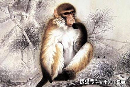 十全十美无缺陷,低三下四任人吼是什么生肖，详细解答、深度解答解释落实