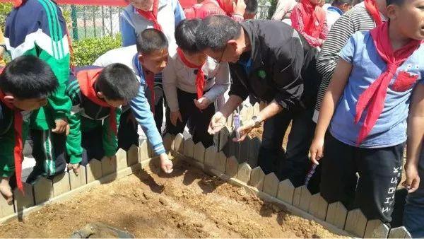 世事无常鼠戏猫是什么生肖全面释义、构建解答解释落实