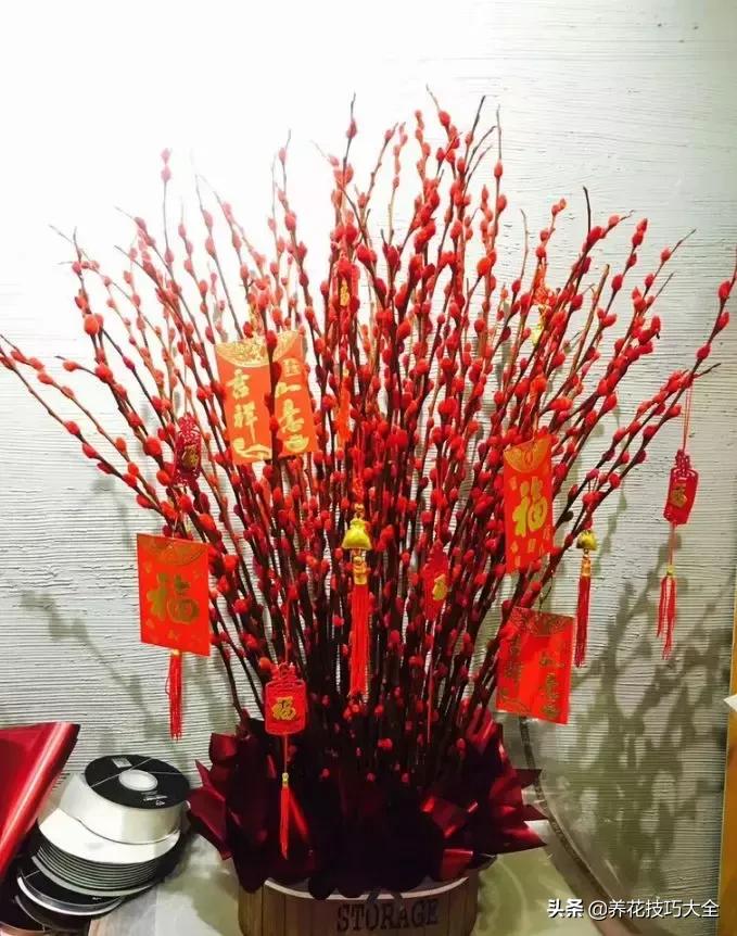 今期生肖走西北,有人看看鸡羊狗是什么生肖详细解答、解释与落实、综合解答解释落实