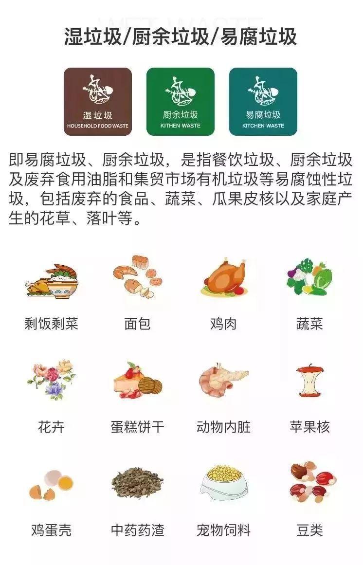 红梅报春春景美,家中迎客吉福来猜打一最佳准确生肖全面释义、深度解答解释落实