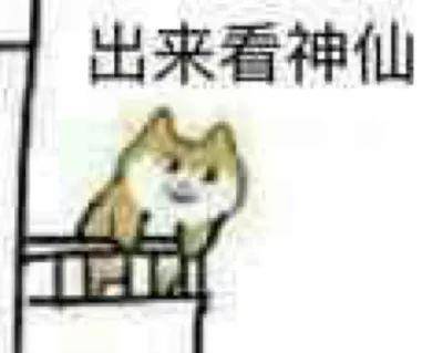 身教言傅，各擅勝場，循循善誘最理想打一正确生肖与警惕虚假宣传-全面释义、科学解答解释落实