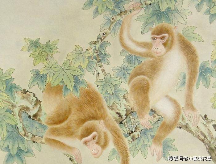红梅报春春景美,家中迎客吉福来猜打一最佳准确生肖请全面2释义、解释与落实、详细解答解释落实