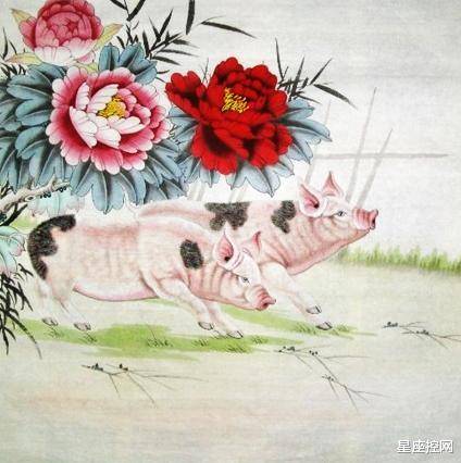 东船西航两头现，送君千里终顺别打一正确生肖,警惕虚假宣传,综合解答解释落实