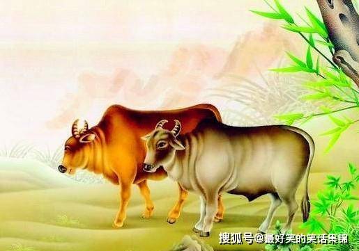 分猴禽起千鈞棒遭插莱萸少一人打一正确生肖，全面释义、实证解答解释落实