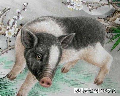 裙下之臣，殊不易做，過份腦羞易成怒打一最佳准确生肖仔细释义、解释与落实、前沿解答解释落实