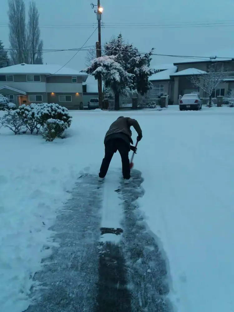 红人当红走天涯，各人自扫门前雪打一正确生肖,警惕虚假宣传落实,时代解答解释落实