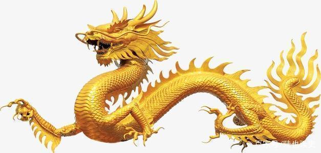 龙凤结合才是美打一动物生肖，全面释义、专家解答解释落实