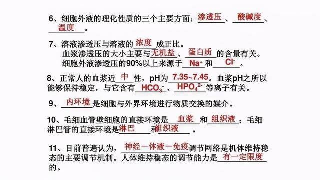 执两用中打一生肖的全面释义、解释与落实、定量解答解释落实